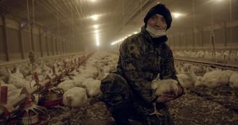 Гнилые 4 серия Гнилые 4 серия