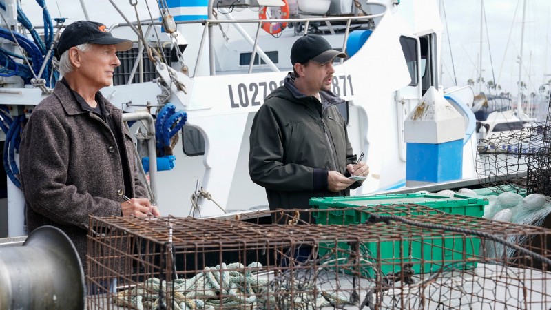 Морская полиция: Спецотдел 19 сезон 4 серия Морская полиция: Спецотдел 19 сезон 4 серия