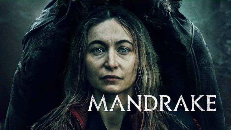 Мандрагора Мандрагора